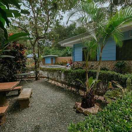Oasis Diverse Adult Retreat Quepos Dış mekan fotoğraf