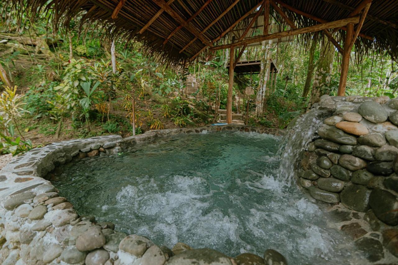 Oasis Diverse Adult Retreat Quepos Dış mekan fotoğraf